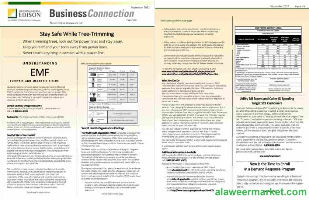 USA Southern California EDISON utility bill, Word and PDF template, 8 pages 7 8